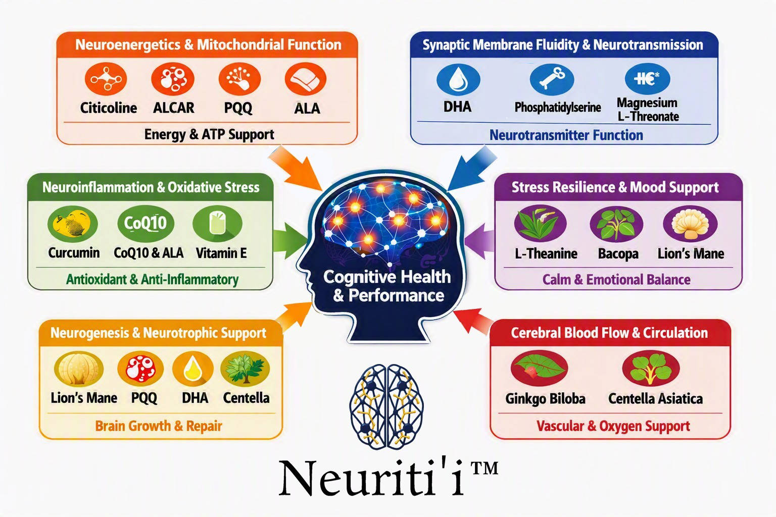Ingredients and their functions across the Neuriti'i Collection